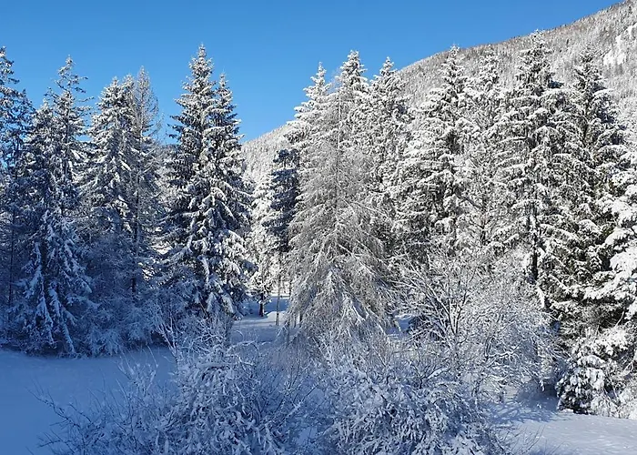 بيت ضيافة And Milena