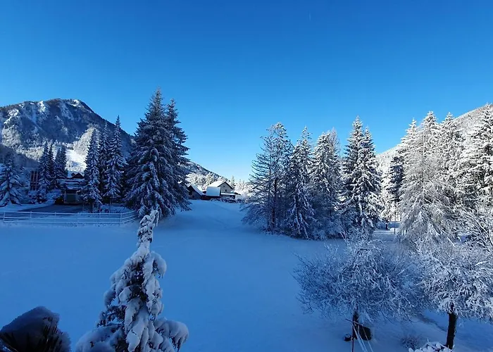 بيت ضيافة And Milena