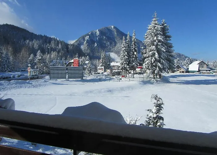 بيت ضيافة And Milena